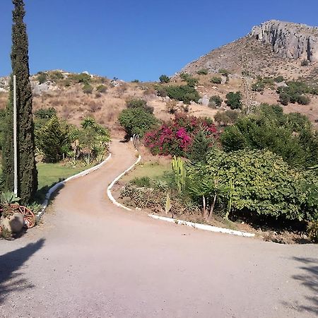 Finca Santa Matilde Malaga Zewnętrze zdjęcie