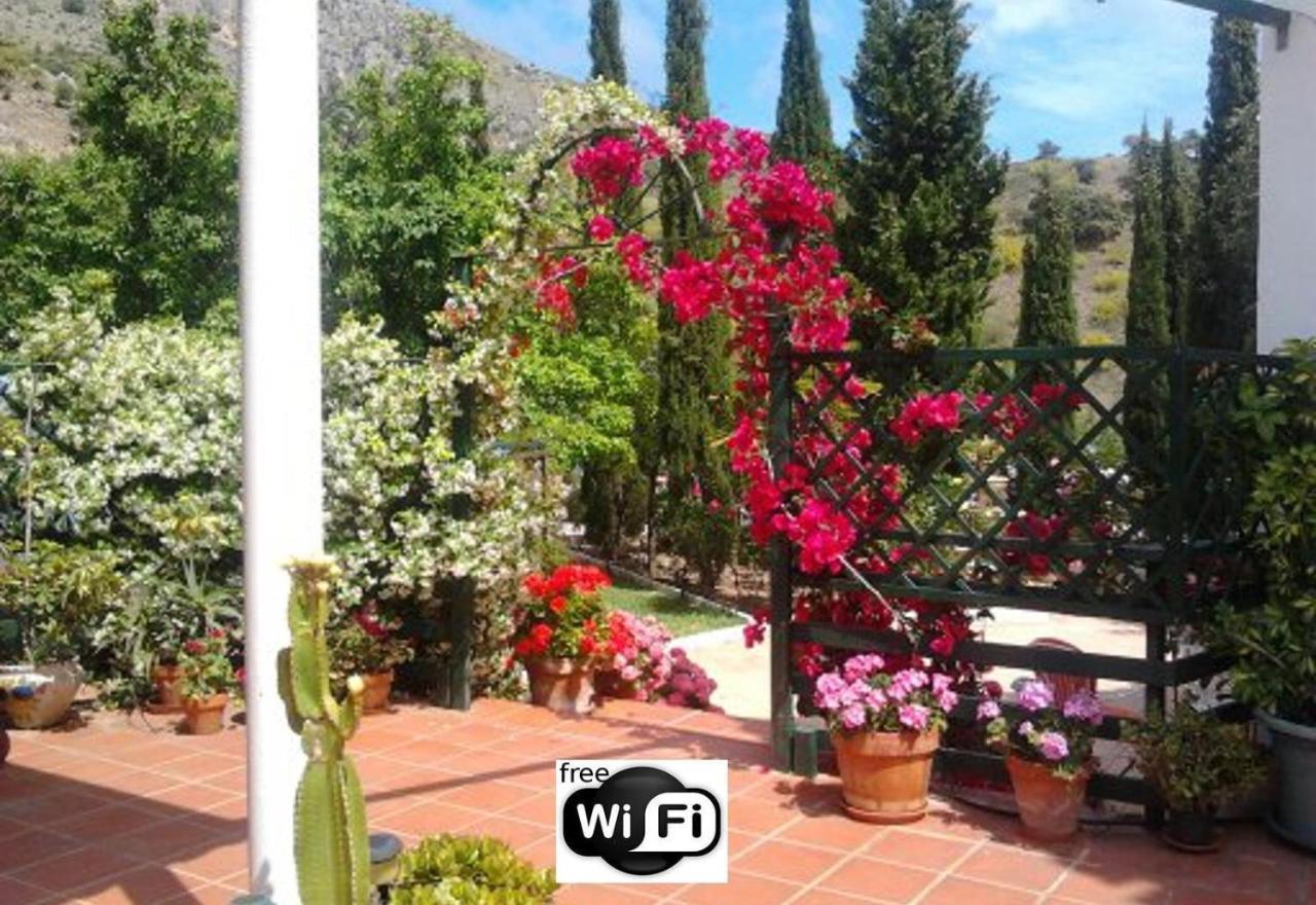 Finca Santa Matilde Malaga Zewnętrze zdjęcie