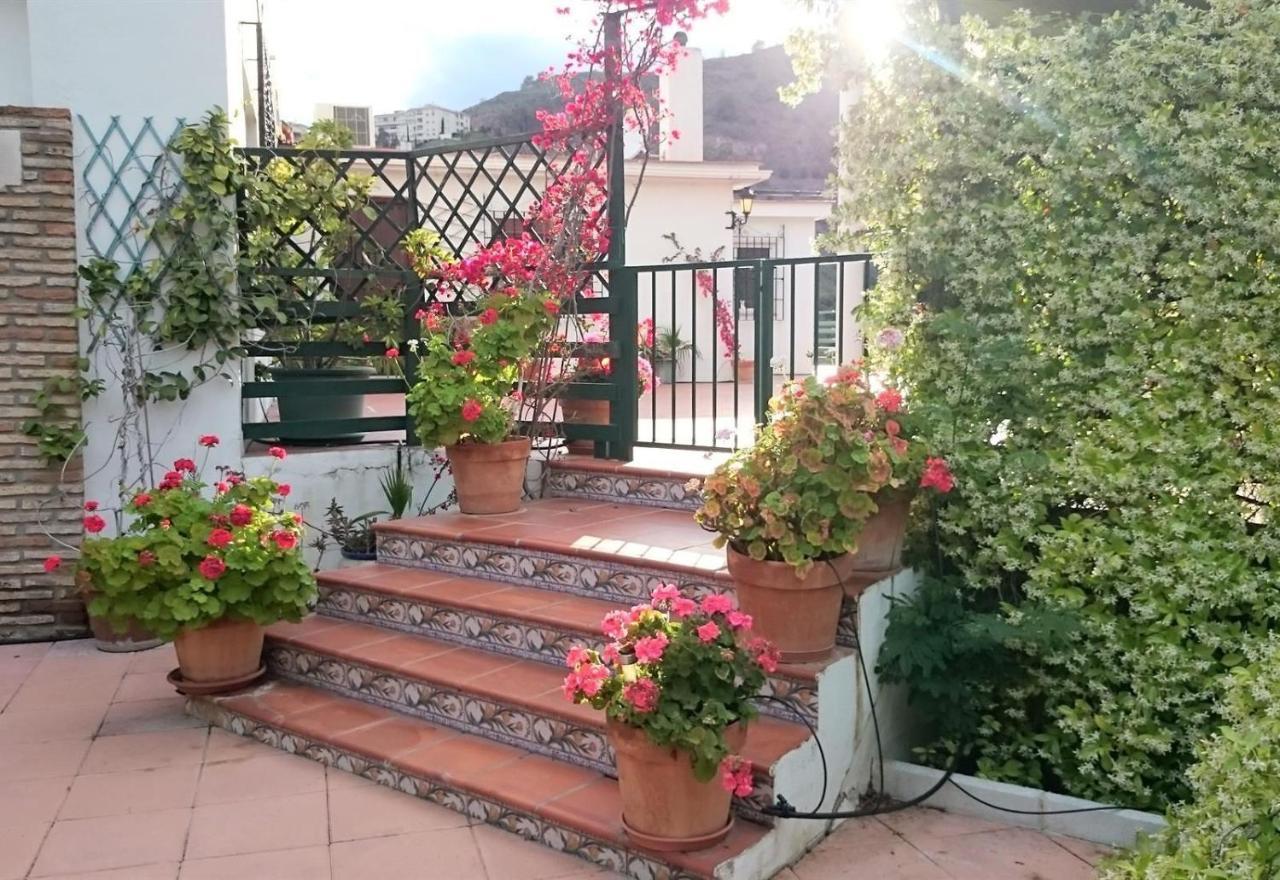 Finca Santa Matilde Malaga Zewnętrze zdjęcie