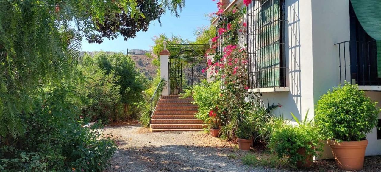 Finca Santa Matilde Malaga Zewnętrze zdjęcie