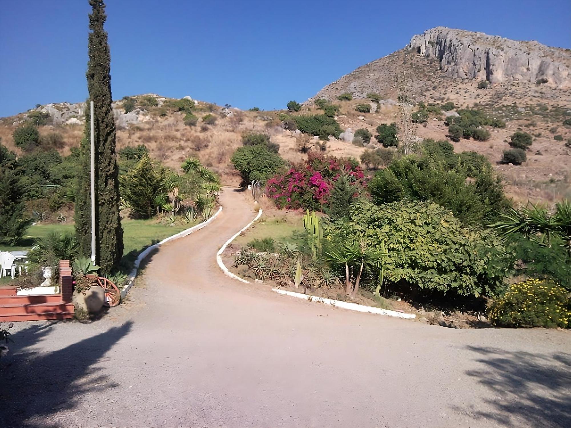 Finca Santa Matilde Malaga Zewnętrze zdjęcie